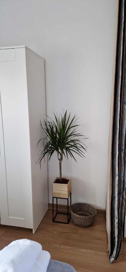 Студио Тони 2 Varna Exteriör bild